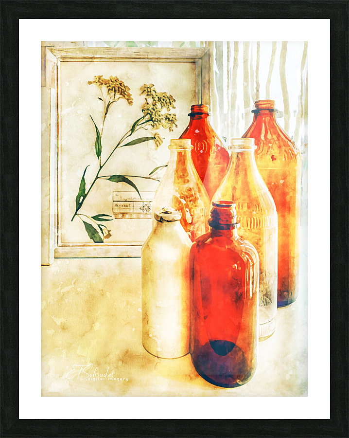 boneset and bottles Picture Frame print
