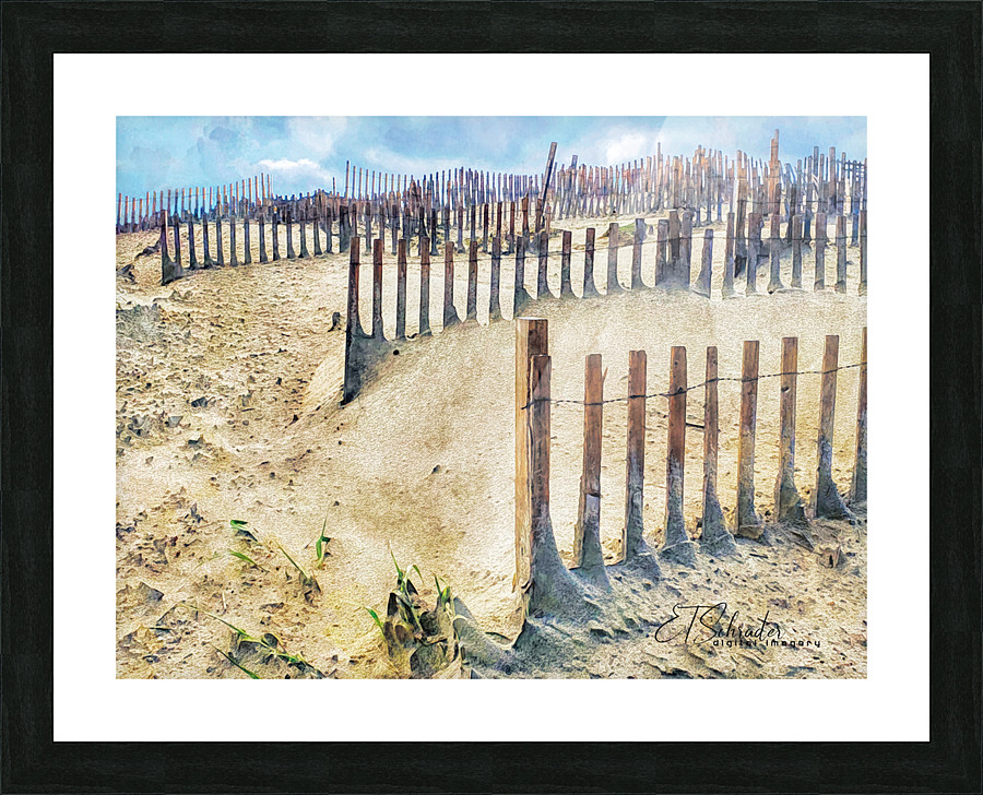 beach fences Picture Frame print