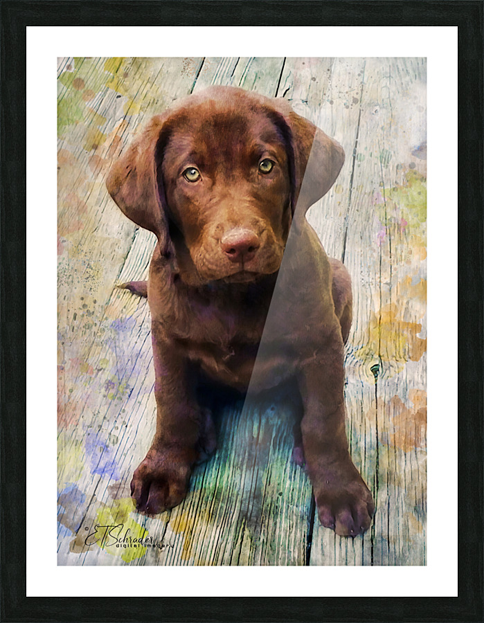 puppylove Picture Frame print