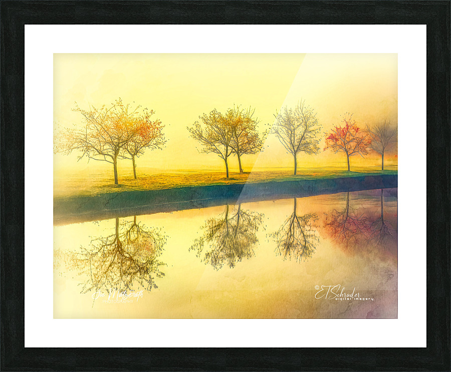 misty river trees Picture Frame print
