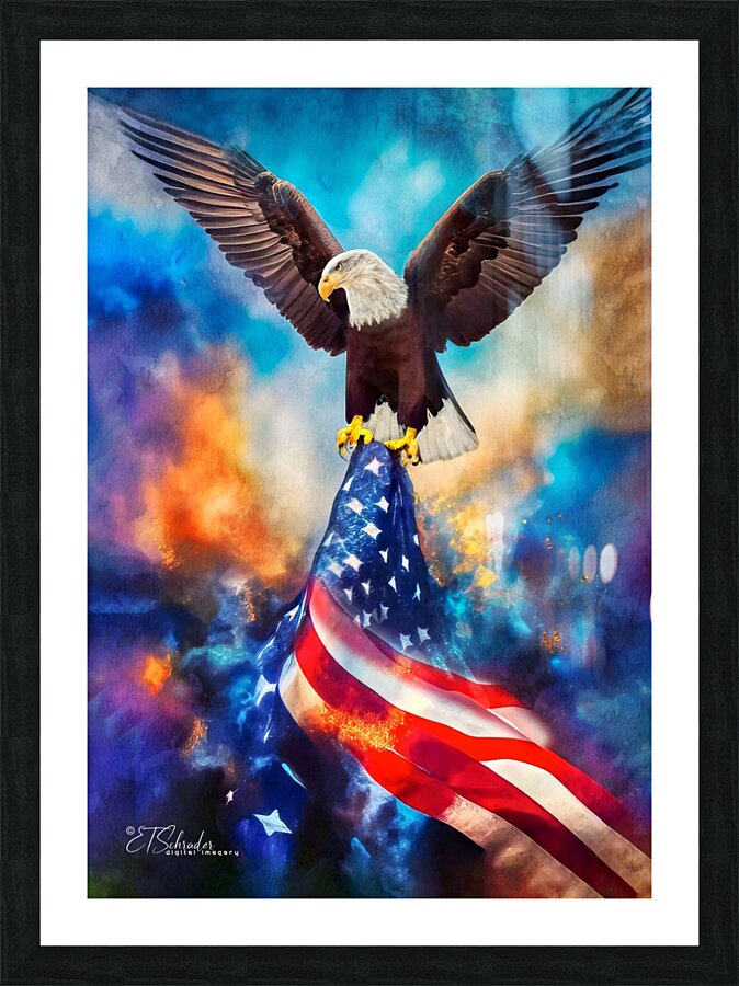eagle flag Picture Frame print