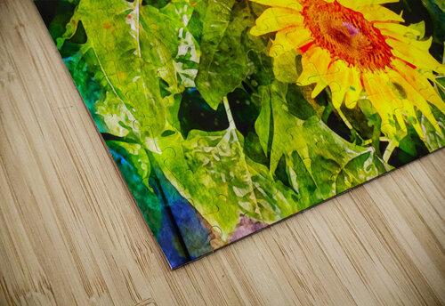 3 sunflowers ETSchrader puzzle