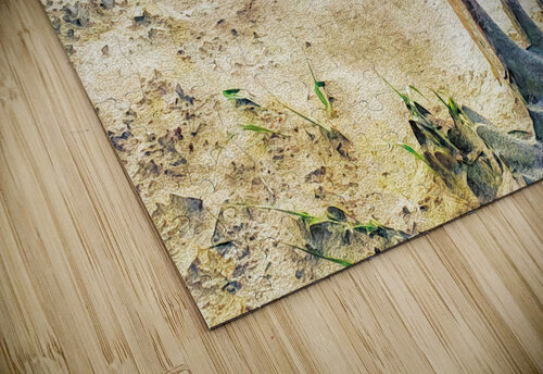 beach fences ETSchrader puzzle
