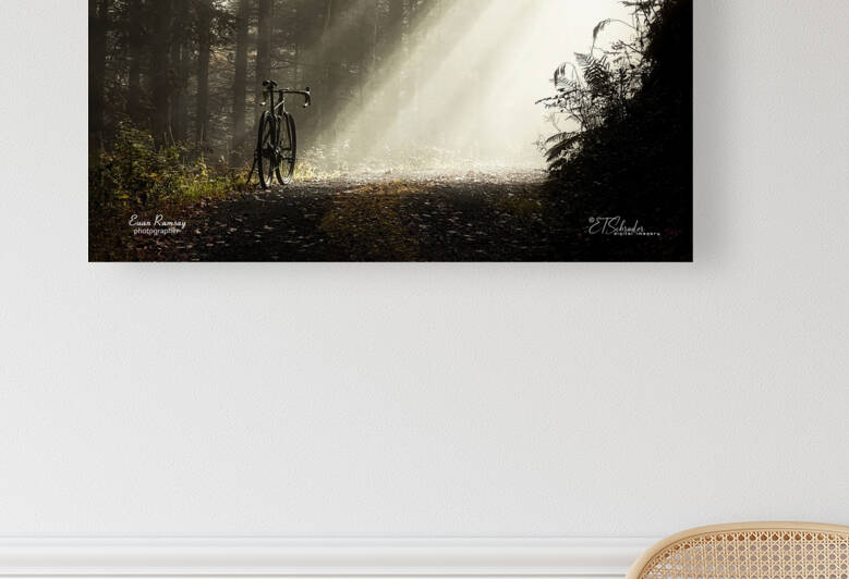 cyclist encounters nature by ETSchrader