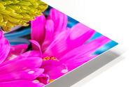 pinks and blues HD Metal print