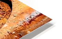 rustyscrew consensual HD Metal print