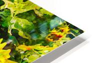 3 sunflowers HD Metal print