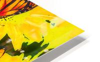 butterflies HD Metal print