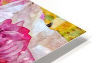 china aster HD Metal print