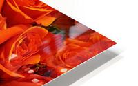 orange orange roses HD Metal print