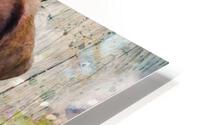 puppylove HD Metal print
