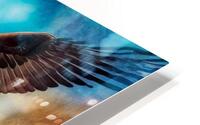 eagle flag HD Metal print