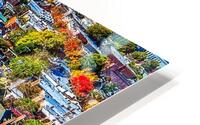 Robt E Lee RVA HD Metal print