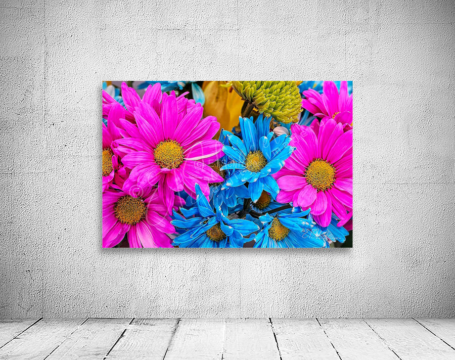 pinks and blues Wall Preview