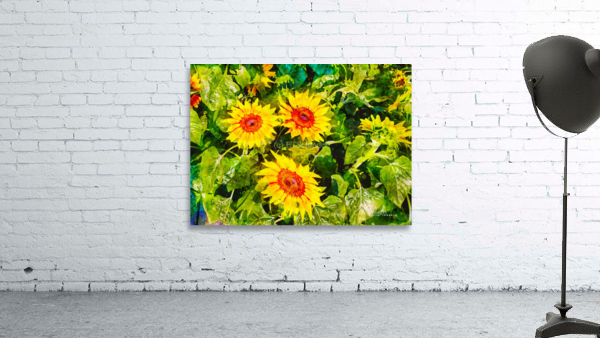3 sunflowers Wall Preview