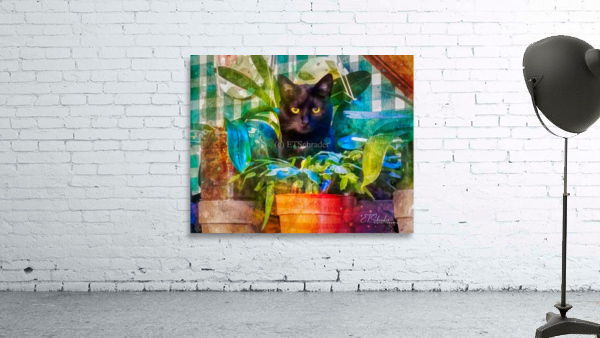 feline in hiding Wall Preview