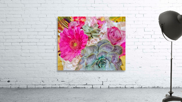china aster Wall Preview