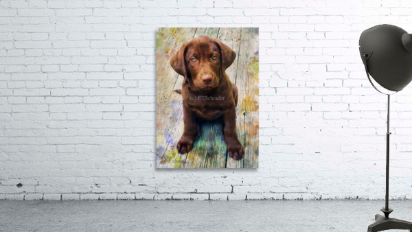 puppylove Wall Preview