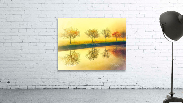 misty river trees Wall Preview