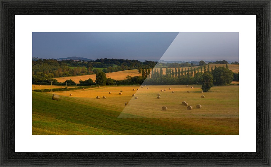 East Devon balescape Picture Frame print