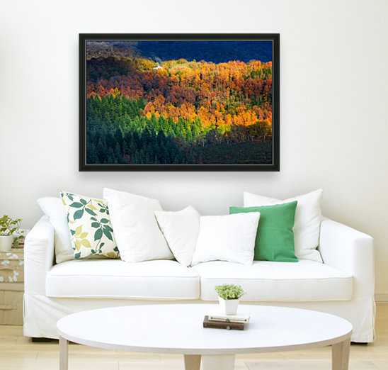Amongst the trees Reproduction