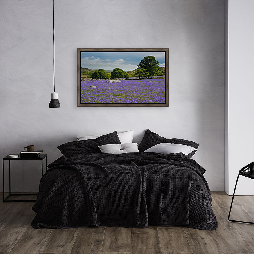 Emsworthy bluebells Reproduction