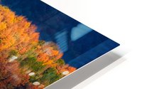 Amongst the trees HD Metal print