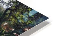 Dewerstone Woods HD Metal print