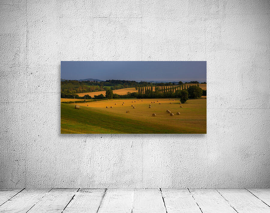 East Devon balescape Wall Preview