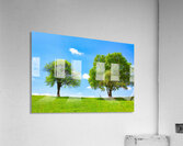 En Equilibre Acrylic Print