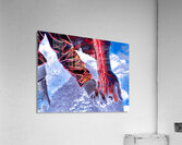 Pulse Acrylic Print