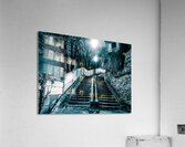Elevasion Acrylic Print