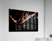Under Echoes Acrylic Print