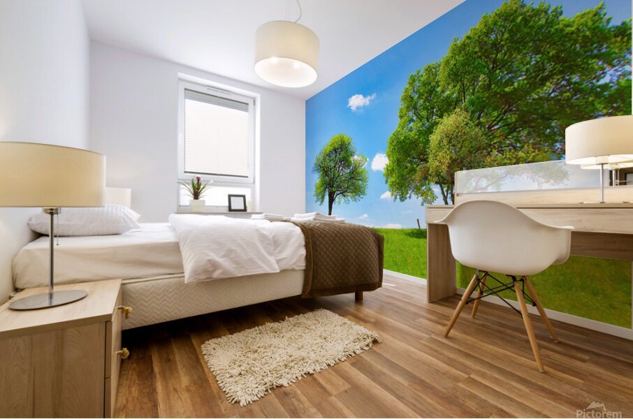 En Equilibre Mural print