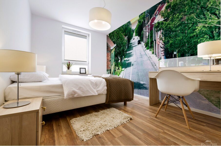 Echappee Mural print
