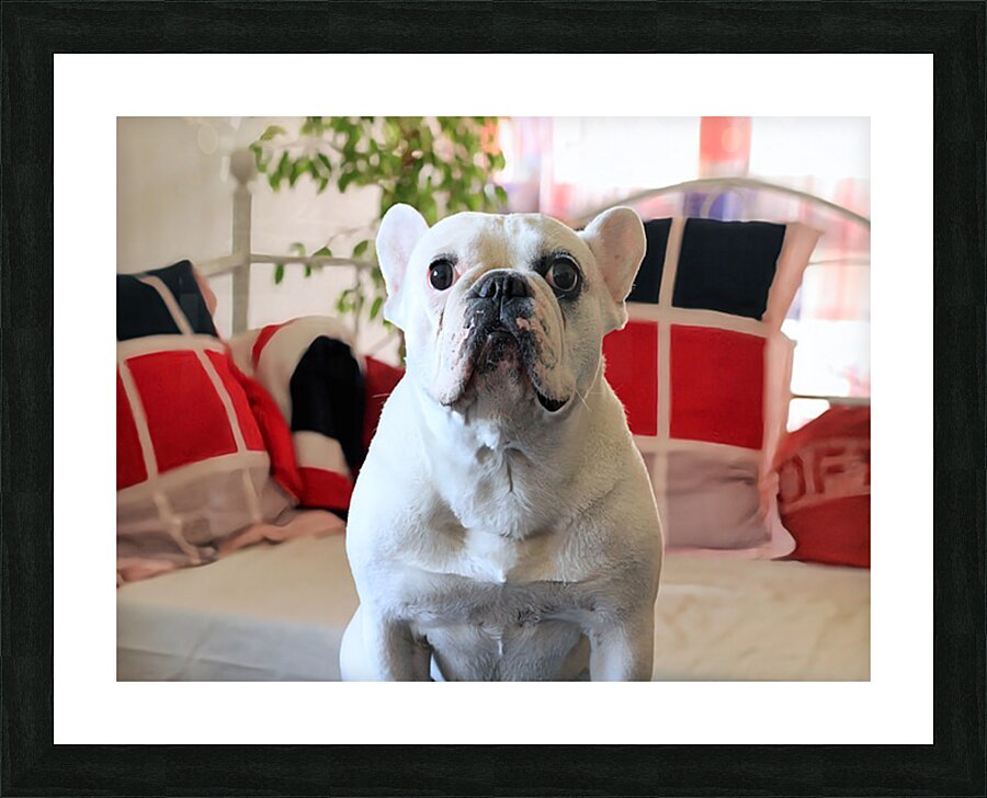 Dogmood Picture Frame print