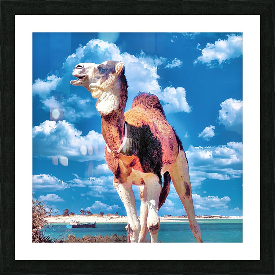 Lacune Picture Frame print