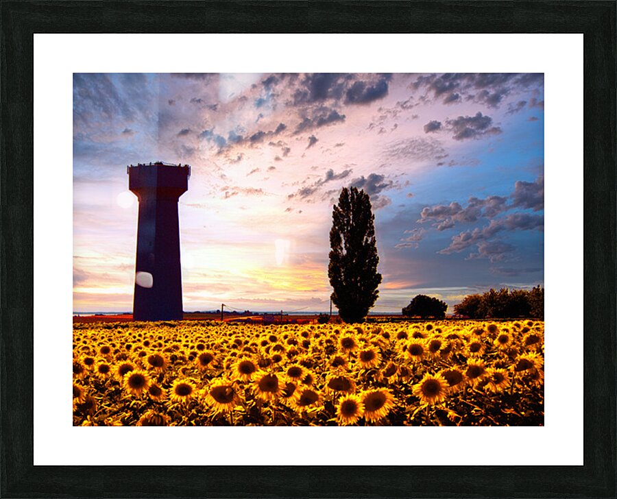 Gardiens Picture Frame print