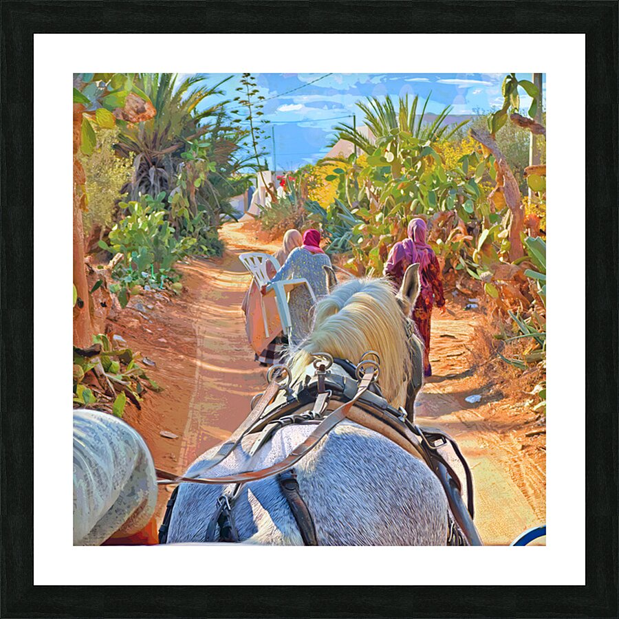 Sillage Picture Frame print