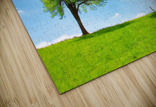 En Equilibre PhyPhotos puzzle
