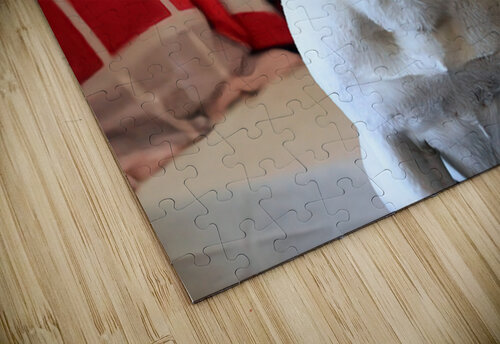 Dogmood PhyPhotos puzzle