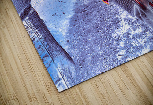 Pulse PhyPhotos puzzle