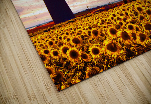 Gardiens PhyPhotos puzzle