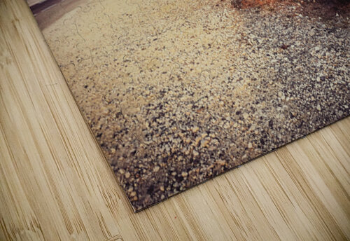 La Derniere Halte PhyPhotos puzzle