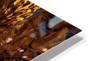 Glow HD Metal print