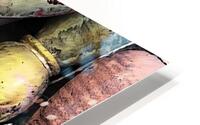 Vestiges HD Metal print