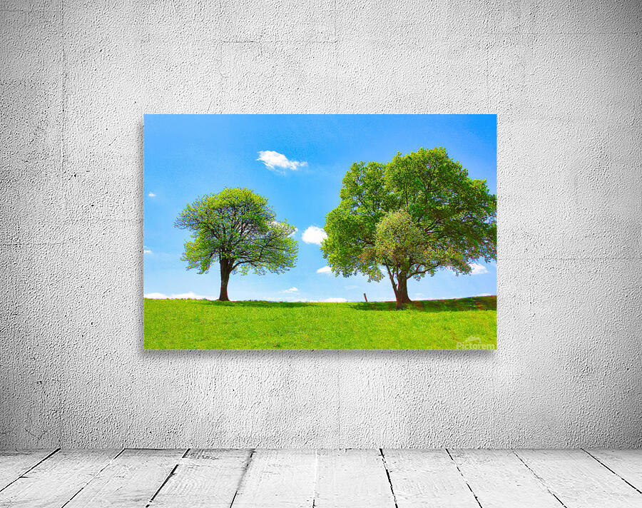 En Equilibre Wall Preview