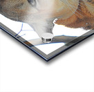 Purrfect Acrylic print