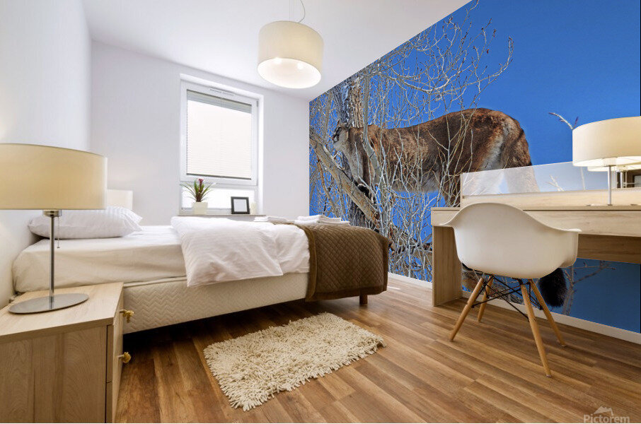 Blue Bird Day Mural print