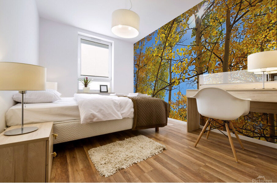 Aspens Take 2 Mural print